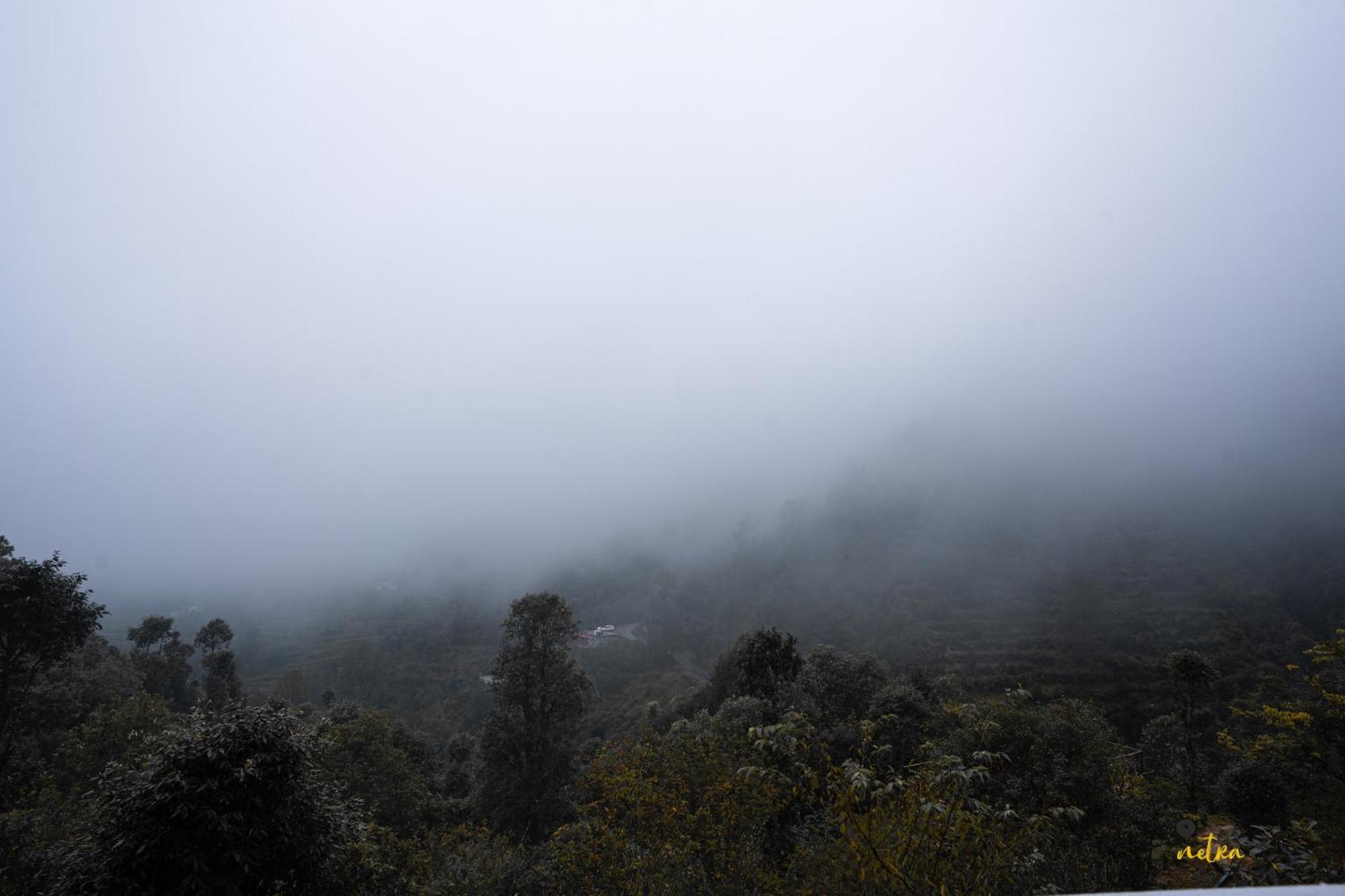 The Rare One'S Mukteshwar - Resort & Cafe ภายนอก รูปภาพ